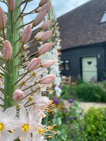 Lillesley Barn